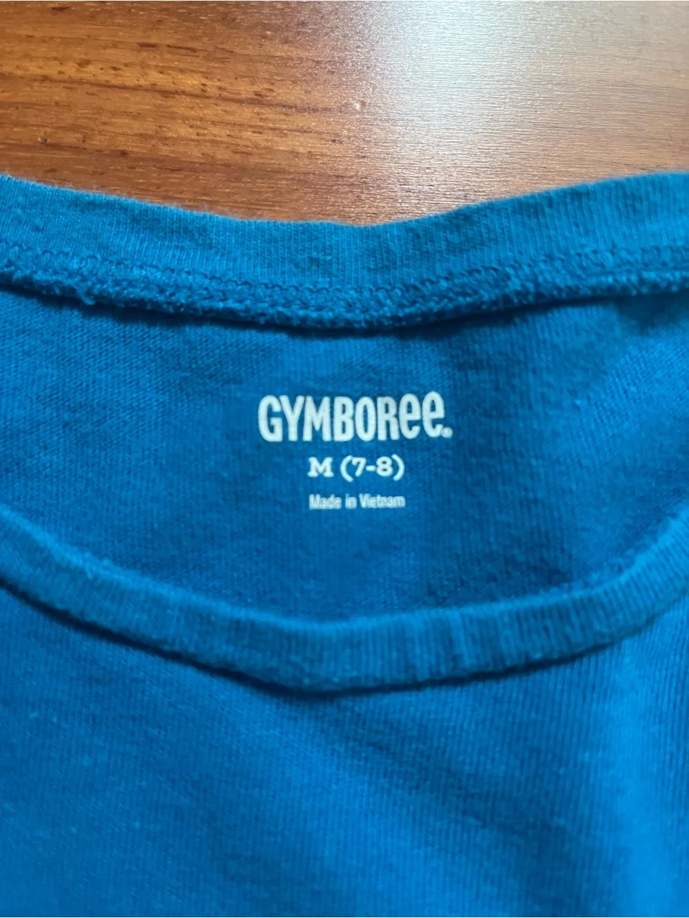 Gymboree dress tealknit
